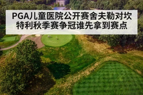 PGA儿童医院公开赛舍夫勒对坎特利秋季赛争冠谁先拿到赛点